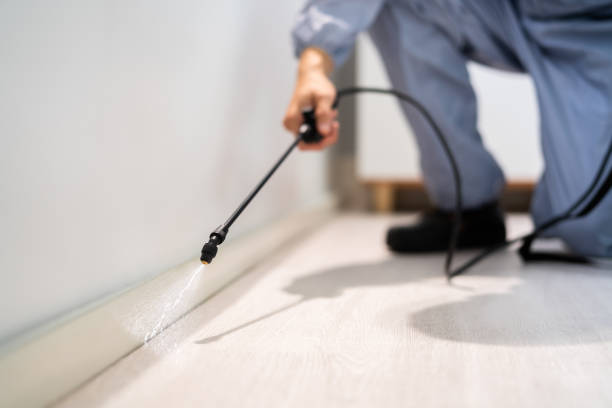 Licensed Termite Control service in Dickenson County County, VA - Nex Pest Control