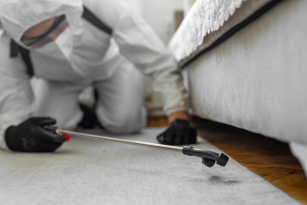 Professional Termite Control technician working in Dickenson County County, VA